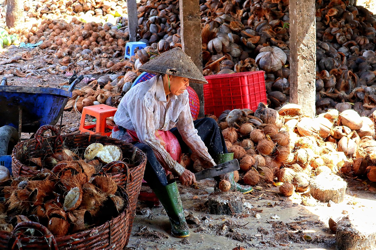 Apa Itu Kopra Kelapa? Pengertian, Jenis, dan Proses Pembuatannya