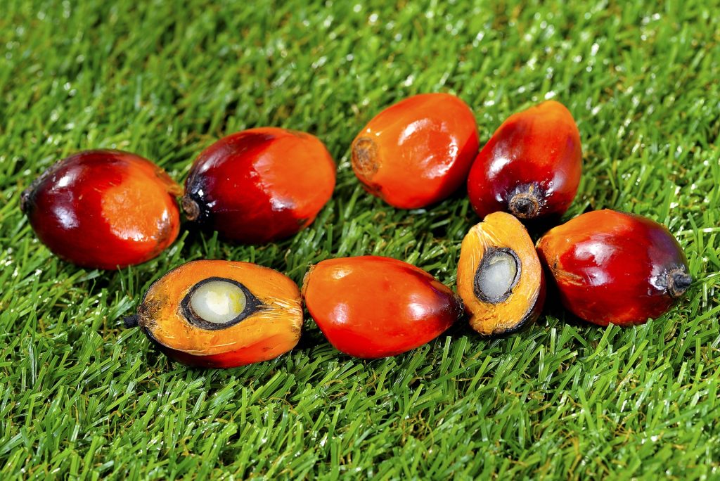7 Produk Turunan Kelapa Sawit yang Mendukung Berbagai Industri